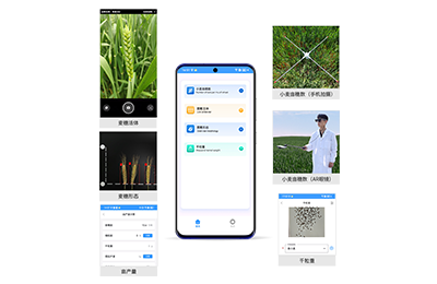 许昌市小麦亩穗数分析仪IN-XM02